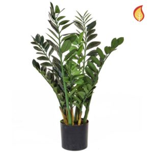 Plants Zamio Zami Base Tree 90cm FR