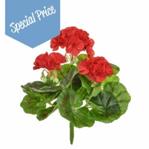 Plants Flowering Geranium A Red 23cm