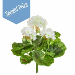 Plants Flowering Geranium A White 23cm