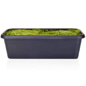 V-Pot Stewarts Black Trough A 40cm