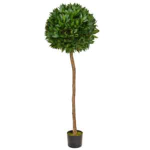NTT Bay Laurel Ball Tree D 135cm