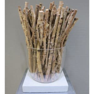 V-Pot Glass Vase w/Terra/Base 25x25x25cm