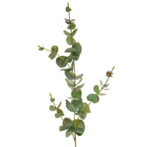 Foliage Eucalyptus Green GB 80cm
