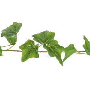 I & T English Ivy Garland Grn 180cm
