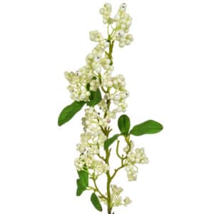 Foliage Snowberry Real Touch Crm GB 61cm