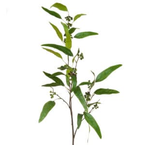 Foliage Eucalyptus Green 122cm