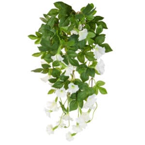 Plants Flowering Petunia Bush C Wh 82cm