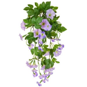 Plants Flowering Petunia Bush B Pur 55cm