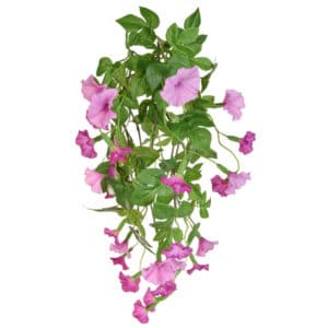 Plants Flowering Petunia Bush B Pk 55cm