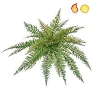 Plants Base Fern Leather SF 48cm UVFR