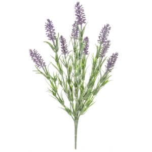 Plants Flowering Lavender Bush 42cm