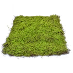 Topiary Moss Pad XH 90x90cm