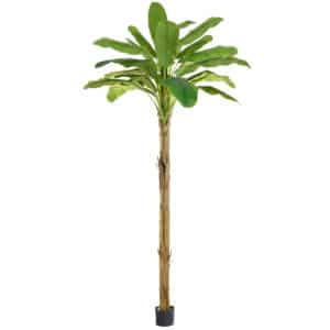 NTT Banana Tree PI 350cm