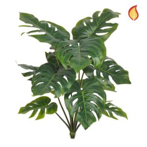 Plants Split Philo Bush YF 80cm