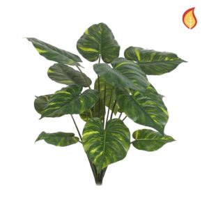 Plants Pothos Bush YF 95cm