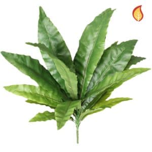 Plants Bird Nest Fern YF 63cm FR