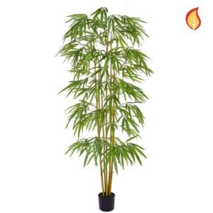 NTT Bamboo YF 180cm FR