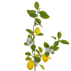 Foliage Lemon Spray with Fruits GB 108cm