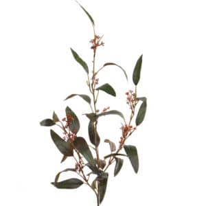 Foliage Eucalyptus Grn/Rd Spray GB 125cm