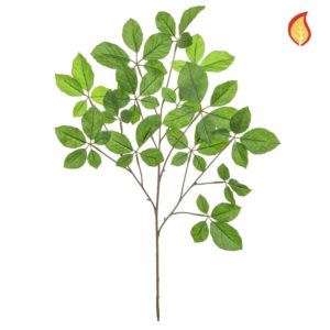 Foliage Hornbeam Green DB 70cm FR