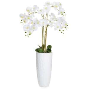 AN-Orchid Pk/Wh in Paris Planter 135cm