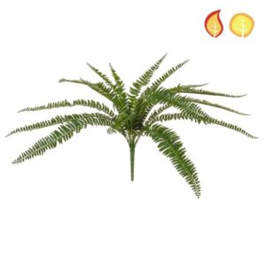 Plants Boston Fern 55cm PI FR UV
