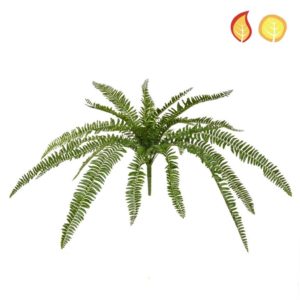 Plants Boston Fern 70cm PI FR UV
