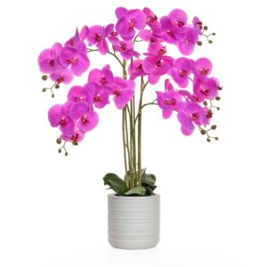 AN-Pink Orchid in Athens Pot 85cm