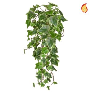 I & T Ivy Trailing Variegated PI 55cm FR