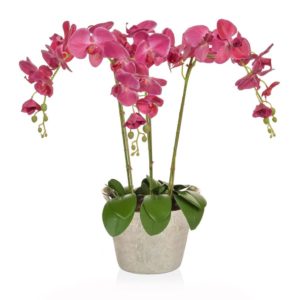 AN-Dk Pink Orchids in Slv Ice Bucket 80cm