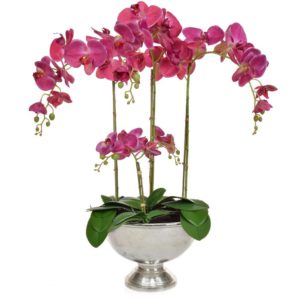 AN-Dk Pink Orchids XJ in Silver Bowl 75cm