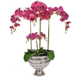 AN-Dk Pink Orchids XJ in Bamburgh Vase 90cm