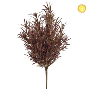 Plants Base Podocarpus Brown YF 42cm UV