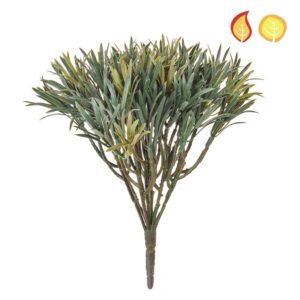 Plants Base Podocarpus Green PI 20cm FR UV