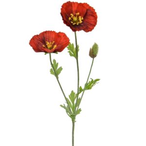 SF Poppy Red XH 67cm
