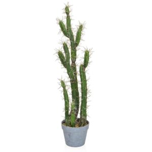 PP Cactus YF 85cm