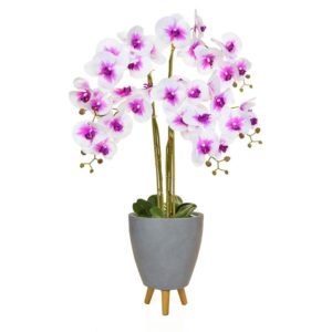 AN-Orchid Wh/Pk in Naples Pot 90cm