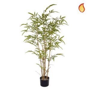 NTT Bamboo Mini PI 120cm FR