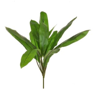 Plants Cordyline Green DB 88cm