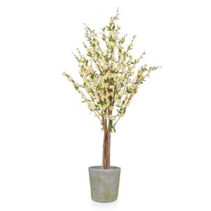 AN-Cherry Blossom White in Mango Pot 160cm
