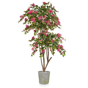 AN-Bougaianvillia Pink in Mango Pot 190cm