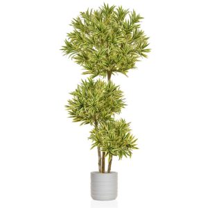 AN-Dracaena Multi Layer in Athens Pot 190cm