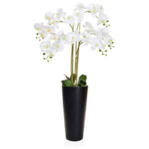 AN-Orchid Phal White in Madrid Pot 130cm