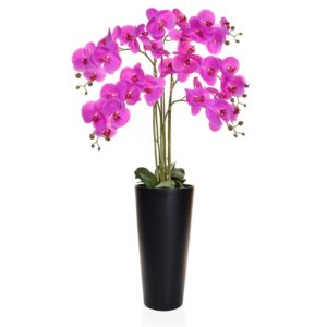 AN-Orchid Phal Pink in Madrid Pot 130cm