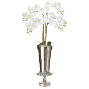 AN-Orchid Phal White in High Urn 160cm