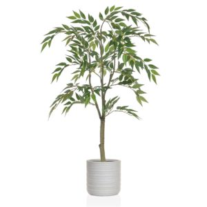 AN-Ficus Benjamin in Athens Pot 130cm