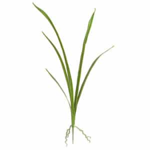SF Leaf Orchid Cymbidium K Green 72cm