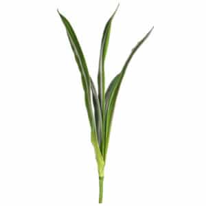 SF Leaf Spider Lily K Green 71cm