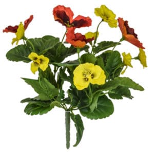 Plants Flowering Pansy Mix Bush O/Y 28cm