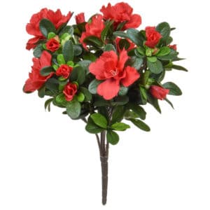 Plants Flowering Azalea Bush Red Blk 38cm